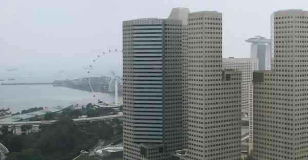 肾虚型脱发的特点