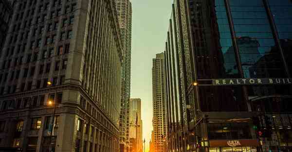 肾虚补什么食物最好