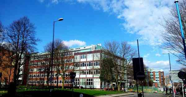 男性肾虚的调理方法