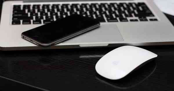 肾虚脱发和脂溢性脱发