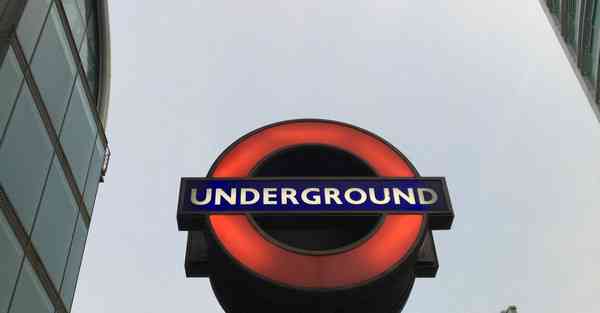 男肾虚吃什么食物能补