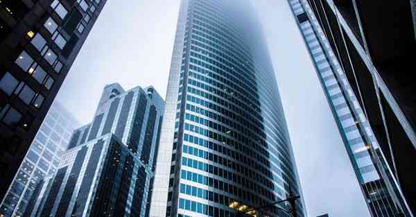 肾虚吃什么来补