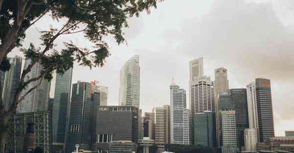 肾虚吃什么好得快