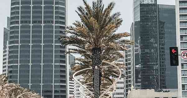 女生肾虚脱发吃什么