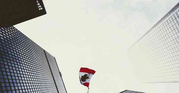 肾虚女人吃什么好调养