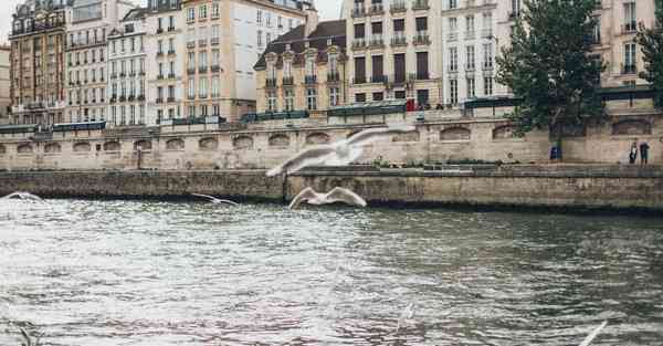 吃什么食物治疗肾虚