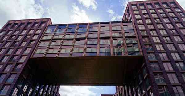 肾虚耳鸣能治好吗