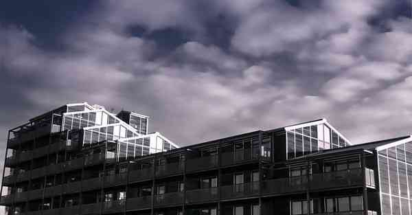 脾虚肾虚喝什么茶好