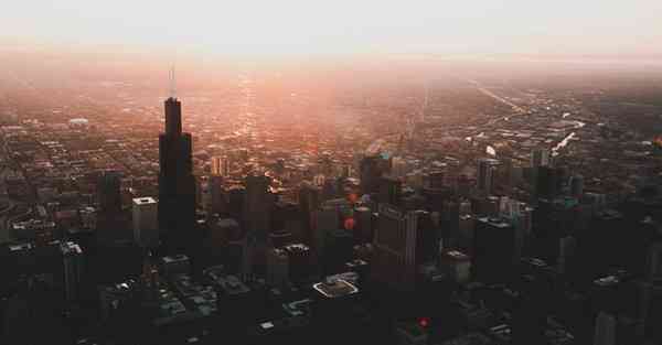 肾虚脱发看什么科