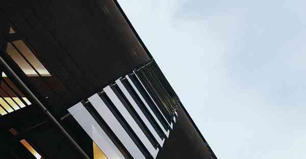 肾虚肾气不足怎么调理