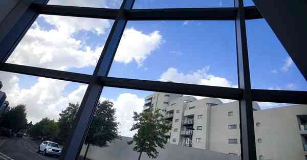 肾虚天天头晕怎么办