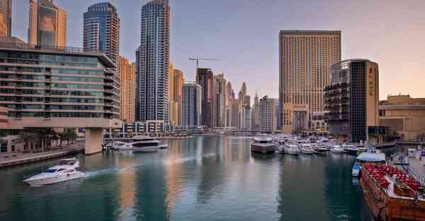 肾虚脾虚吃什么食物补