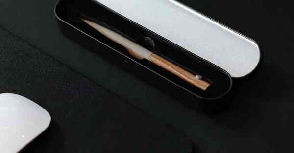 肾虚吃什么食物