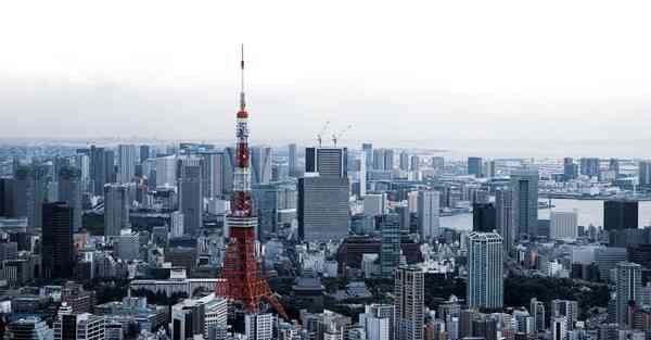 老年人肾虚吃什么好