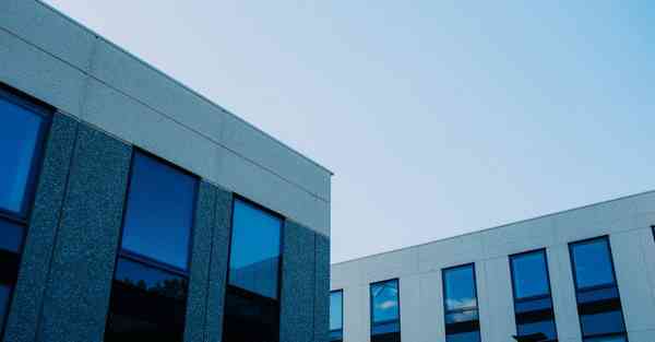 肾虚补药有那些