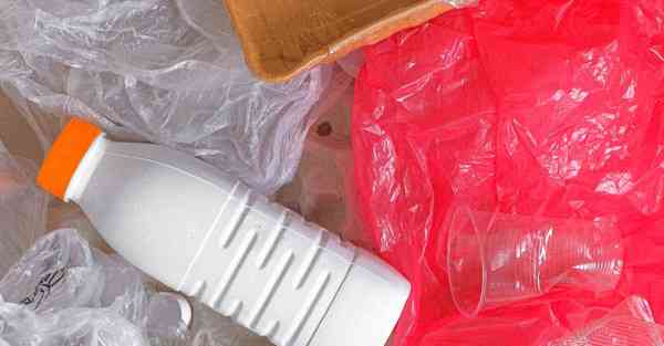 肾虚吃什么补得快