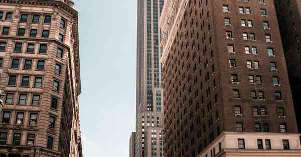 脾虚肾虚吃什么食物