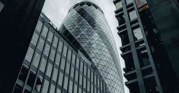 女的肾虚吃什么